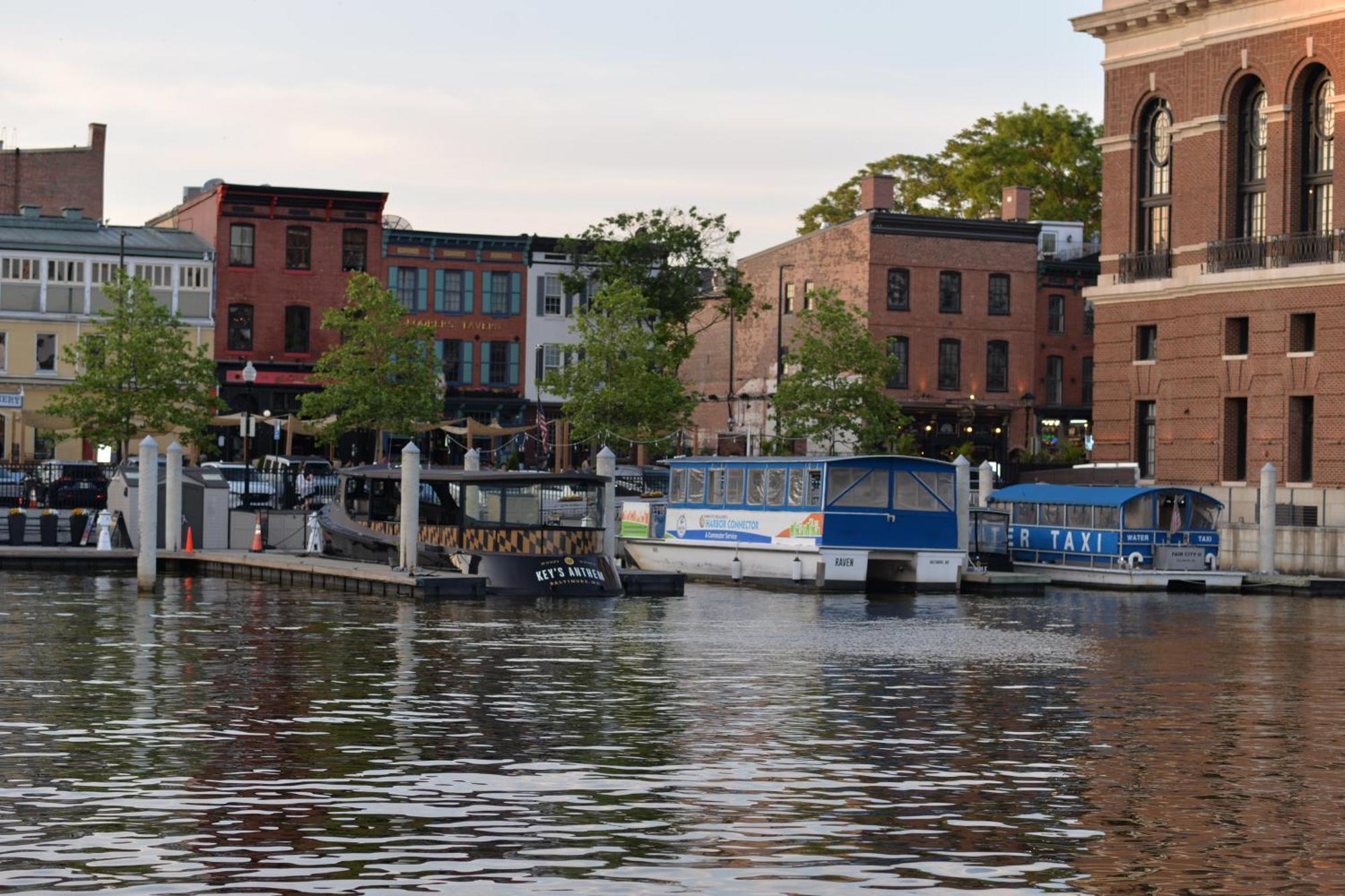 Pristine Townhouse With Rooftop Deck Near Canton! Baltimore Eksteriør billede